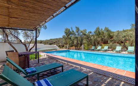 Areas with sun and also with shade